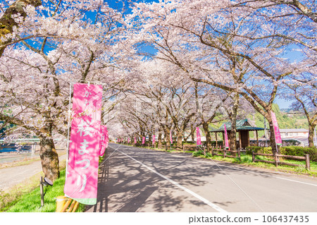 （靜岡縣）川根町/家山櫻花隧道川根櫻花街 106437435