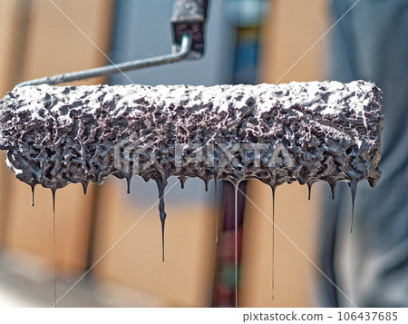 paint roller full of gray paint dripping. Close-up. 106437685