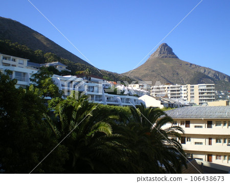 Sunny Lion's Head 106438673