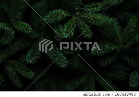 Natural fir tree branches texture winter pattern 106439498