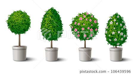 Trees Realistic Set 106439596