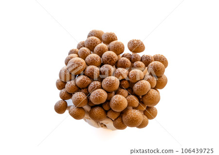 含有鳥氨酸的Bunashimeji蘑菇 106439725