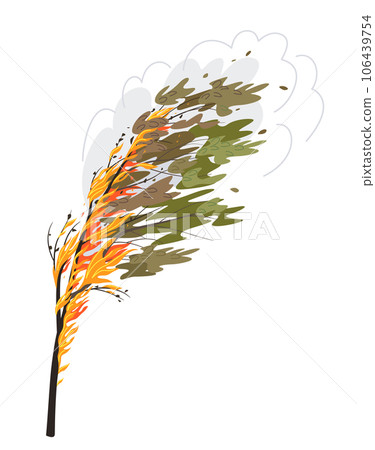 Burning Tree Isolated on white, Wild Fire 106439754