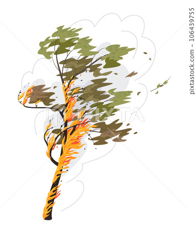 Burning Tree Isolated on White, Wild Fire 106439755