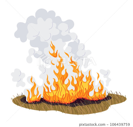 Field with Burning Dry Grass, Wild Fire 106439759