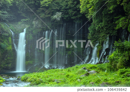 The scenery of Shiraito Falls surrounded by fresh greenery 106439842