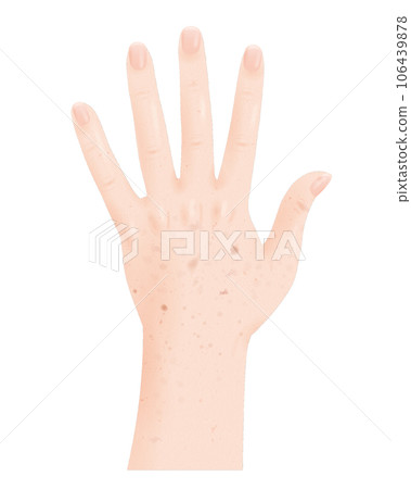人體部位真手指皮膚染色皺紋指甲手背一隻手透明png背景透明 106439878