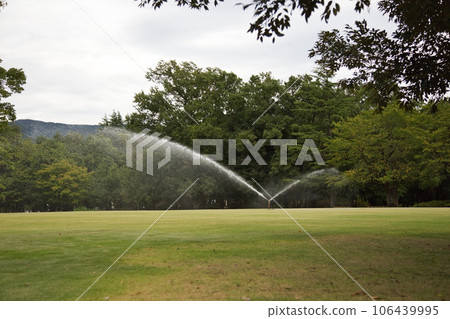 Fukui Prefectural Green Center at the end of summer 106439995