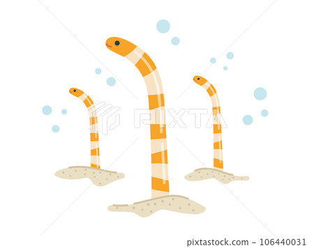 Illustration of a Japanese conger eel 106440031