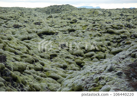 Moss covered lava field, Eldhraun, Iceland Moss covered lava field, Eldhraun, Iceland 106440220