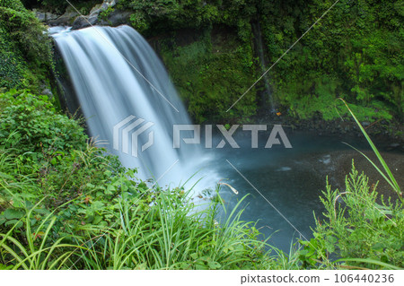 A waterfall surrounded by fresh greenery 106440236