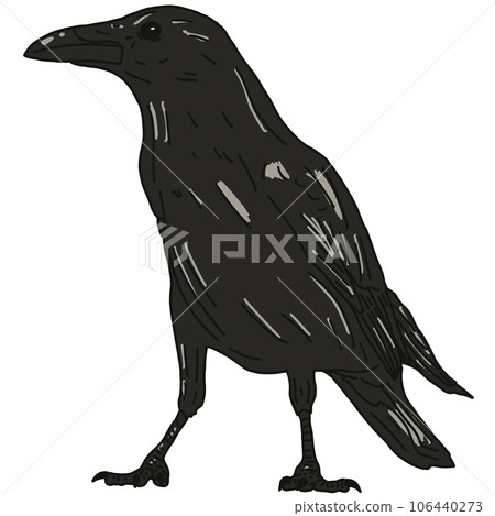 vector illustration of a bird 106440273
