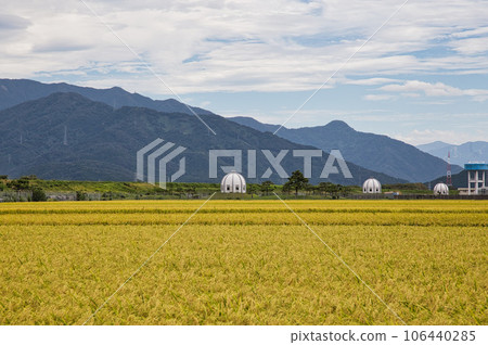 Shallow well and fruitful autumn 106440285