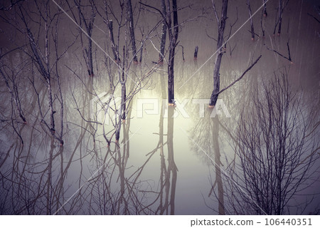 Dead trees and plants. Cyanide mining residuals 106440351
