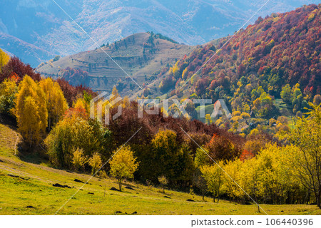 Autumn in Transylvania 106440396