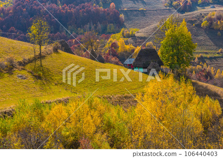 Autumn landscape, colorful forest 106440403