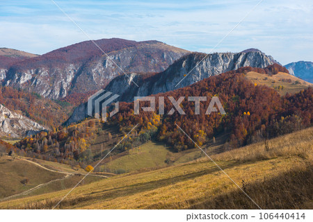 Autumn scene in the mountains 106440414