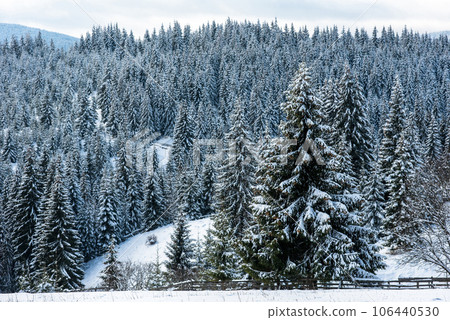 Winter landscape with snow on trees 106440530
