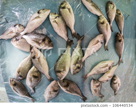 Fresh fish on ice in the market Fresh fish on ice in the market 106440534