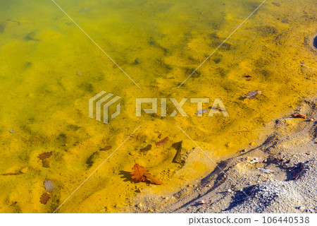 Yellow polluted waste water 106440538