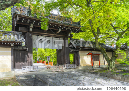 Imamiya Shrine's east gate surrounded by bright blue maple leaves (Imamiya-cho, Murasakino, Kita-ku, Kyoto) 106440698