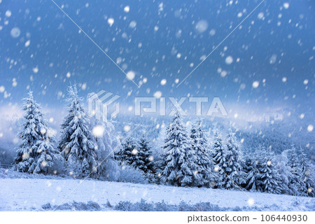 Christmas background with snowy fir trees 106440930