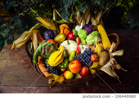 Basket of organic bio fruits and vegetables Basket of organic bio fruits and vegetables 106440980