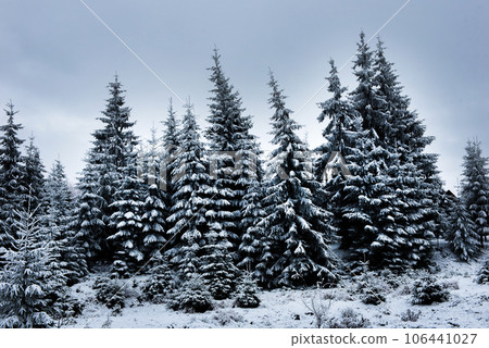 Beautiful winter landscape with snow covered trees Beautiful winter landscape with snow covered trees 106441027