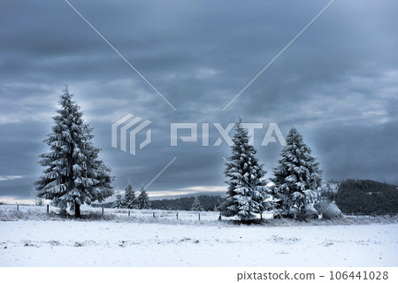 Trees covered with hoarfrost and snow in mountains Trees covered with hoarfrost and snow in mountains 106441028