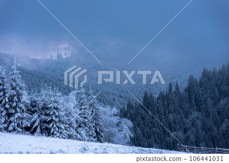 Beautiful winter landscape with snow covered trees 106441031