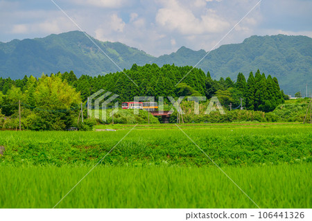 Railway scenery that shines in the countryside with the summer sky and Mt. Aso in the background (all lines open) Minami Aso Railway 106441326