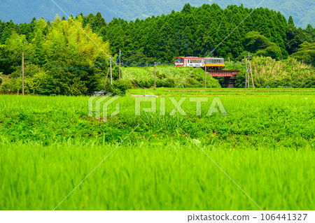 Railway scenery that shines in the countryside with the summer sky and Mt. Aso in the background (all lines open) Minami Aso Railway 106441327