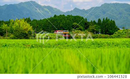 Railway scenery that shines in the countryside with the summer sky and Mt. Aso in the background (all lines open) Minami Aso Railway 106441328