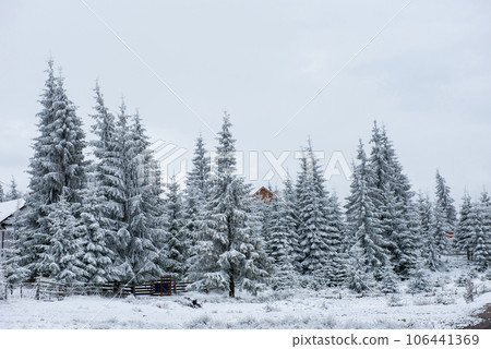 Winter landscape with snow on trees 106441369