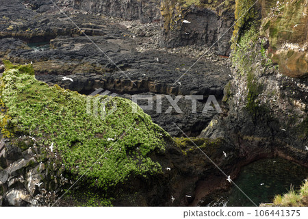 Londrangar Basalt Cliffs in Iceland 106441375