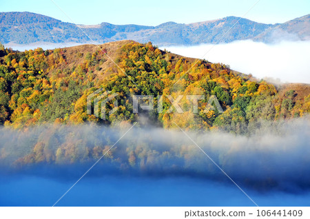 Foggy autumn landscape 106441409