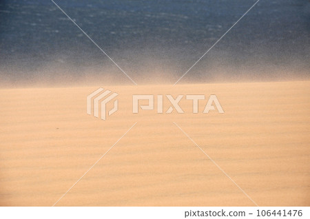 San dunes in the desert 106441476