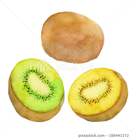 Cut kiwi fruit watercolor illustration 106441572