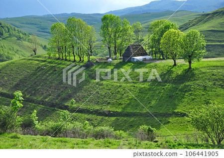 Small ranch in the mountains Small ranch in the mountains 106441905
