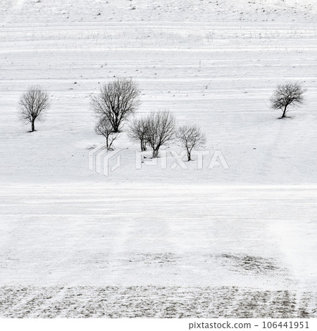 Winter field Winter field 106441951
