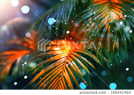 Palm leaves blurred background Palm leaves blurred background 106442464