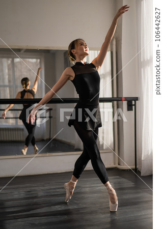 A beautiful Asian ballerina is training in a dance class. Vertical photo. 106442627