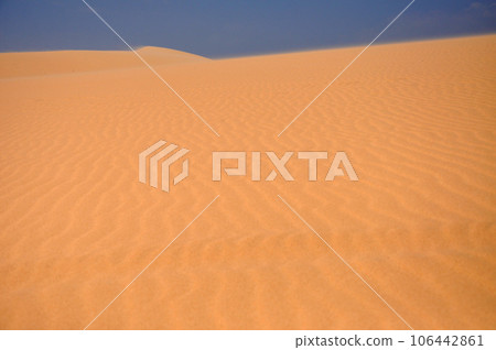 San dunes in the desert 106442861