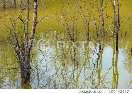 Industrial waste lake of Geamana, Rosia Montana, Romania 106442937