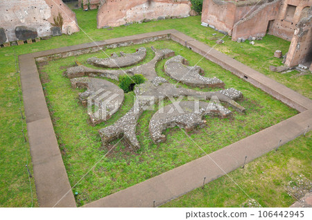 Archaeological excavation in the Roman Forum, Rome 106442945