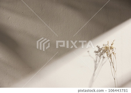 Various props with an autumn atmosphere in the warm afternoon sunlight. 106443781