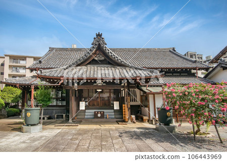 Seiganji Temple in Hatagaya, Shibuya-ku, Tokyo Seiganji Temple in Hatagaya, Shibuya-ku, Tokyo 106443969