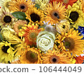 sunflower flowers and petals 106444049