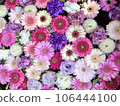 Pink flower chozuya 106444100