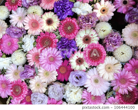 Pink flower chozuya 106444100